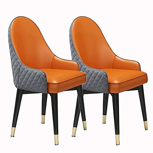 TINGMIAN Küchen-Esszimmerstuhl-Set, 2er-Set, Küchen-, Wohnzimmerstühle, Mikrofaser-Leder, Loungesessel mit Massivholzbeinen, modern, hohe Rückenlehne, gepolstert, weicher Sitz, Akzentstühle (C) von TINGMIAN