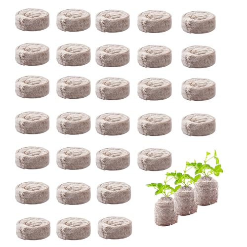 TINGWEN 30 Stück Steinwolle Anzuchtmatte Steinwolle Anzucht Rund Steinwolle Würfel Rockwool Cube Natürliches Material Für Bodenlose Anzucht,Aussaat, Klonpflanzen,Hydroponischen Anbau (30 * 10mm) von TINGWEN