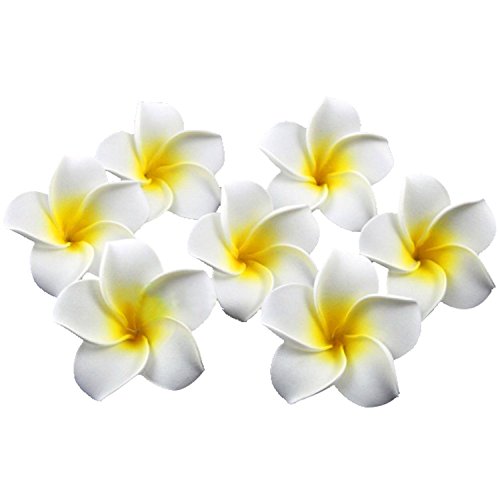 TININNA 100 Stück Künstlich Frangipani Plumeria Hawaiian Schaumblüte für Hochzeit Party Dekoration Weiß EINWEG Verpackung von TININNA