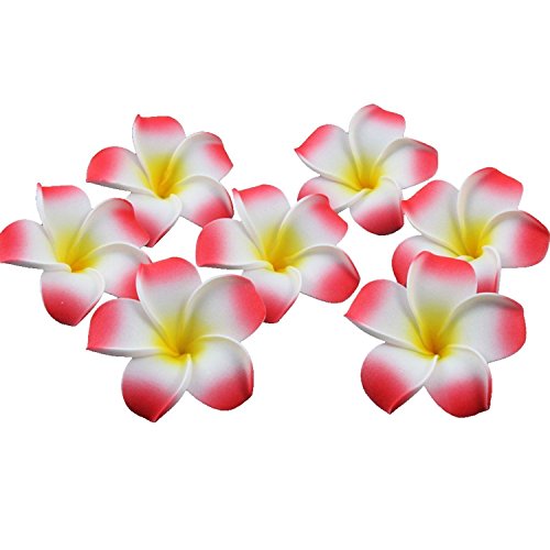 TININNA 100 Stück Künstlich Frangipani Plumeria Hawaiian Schaumblüte für Hochzeit Party Dekoration rot EINWEG Verpackung von TININNA