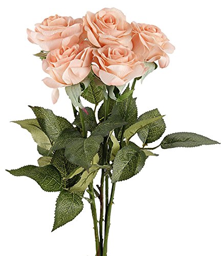 TININNA 5 Stück Latex Real Touch Kunstblumen Künstliche Rosen Blumen Künstlicher Blumenstrauß Brautstrauß Hochzeit Deko Champagner EINWEG Verpackung von TININNA