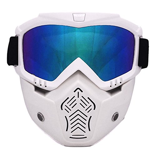 TININNA Anti-Fog Winddichte Motorrad Helm Schutzbrille UV Schutz Abnehmbare Gesichtsmaske und Reitschutzbrille EINWEG Verpackung von TININNA