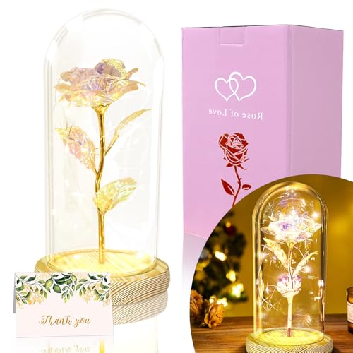 TINYOUTH Bunt Rose in Glas, 24K Ewige Rose in Glas mit Beleuchtung Batterien Inklusive Schöne und das Biest Rose von TINYOUTH