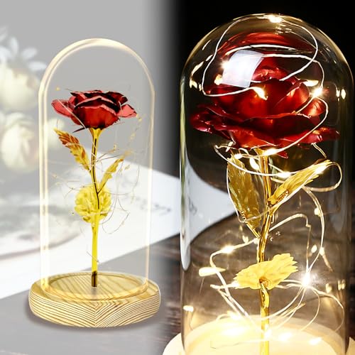 TINYOUTH Rot Rose in Glas, 24K Ewige Rose in Glas mit Beleuchtung Batterien Inklusive Schöne und das Biest Rose von TINYOUTH