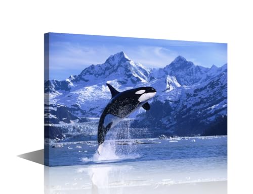 Killerwale in der Nähe des Eisbergs Wandkunst Gemälde auf Leinwand Orca Schlafzimmer Wandkunst Moderne Dekor Ozeantiere Hausdekorationen für Wohnzimmer Badezimmer Bilder auf Holzrahmen gespannt 45,7 x von TISHIRON