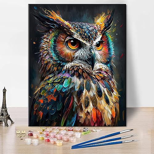 Tier Malen Nach Zahlen, Abstrakte Eule Malen Nach Zahlen für Erwachsene, Zarte Tier Malerei Nach Zahlen für Wanddekoration für Zuhause, Ölmalerei mit Pinsel und Pigment, Rahmenlos, 40x50 CM von TISHIRON
