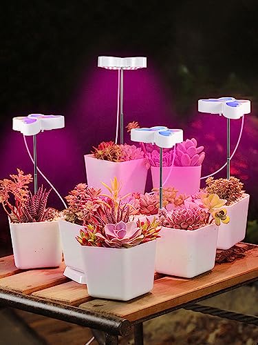 Wachstumslicht, LED-Pflanzen-Schmetterlingslichter für Zimmerpflanzen, Mini-Pflanzenlicht, Dimmbares, Buntes Schmetterlings-LED-Pflanzenlicht mit Vollspektrum, Halo-Wachstumslicht für(4-Kopf) von TITA-DONG