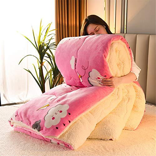 TIUTIU Winter Baumwolle Bettdecke - Warmer Quiltkern, Doppelseitiger Warmer Quiltkern Aus Samt, Superweicher Flanell + Lammsamtstoff, Verdickte Warme Steppdecke (Pink,150 x 200 cm - 2.5kg) von TIUTIU