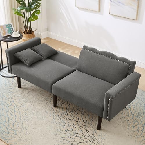 [2-in-1 Multifunktions-Sofabett] Zweisitzer-Sofa, Sofa mit Liegefunktion, unabhängig verstellbare Doppelrückenlehnen, Metallverzierungen, Baumwoll-Leinen-Stoff, hochdichter Schaumstoff (Antikgrau) von TIZZ