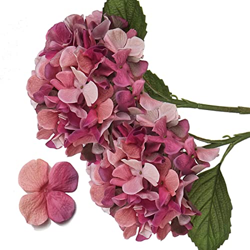 2 STK Künstliche Hortensien, Ø 19cm Kunstblumen Hortensien Wie Echt für Brauthochzeitssträuße, Haus, Büro, Hotel, Partydekoration, Mittelstücke, Blumenarrangements 2 STK Künstliche Hortensien, Ø 19cm Kunstblumen Hortensien Wie Echt für Brauthochzeitssträuße, Haus, Büro, Hotel, Partydekoration, Mittelstücke, Blumenarrangements von TK28MN