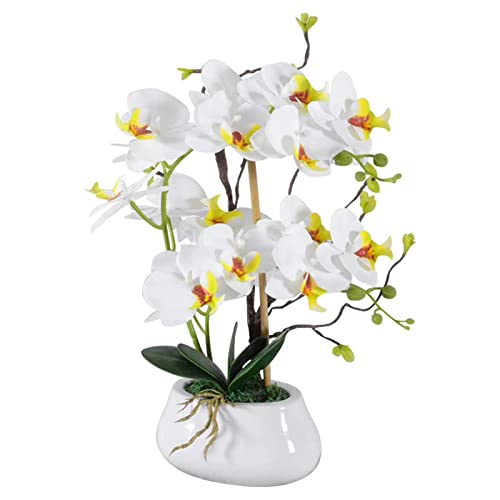 Künstliche Orchidee Weiß Kunstblume Phalaenopsis Bonsai Kunstpflanzen mit Topf Orchidee mit weißer Keramikvase Blumenarrangements von TK28MN