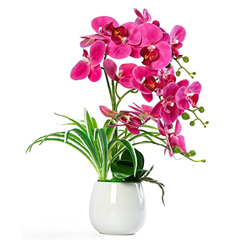 künstliche orchideen im Topf wie echt, künstliche Orchidee Kunstblumen und kunstpflanzen mit Vase,48cm,Fuchsie von TK28MN