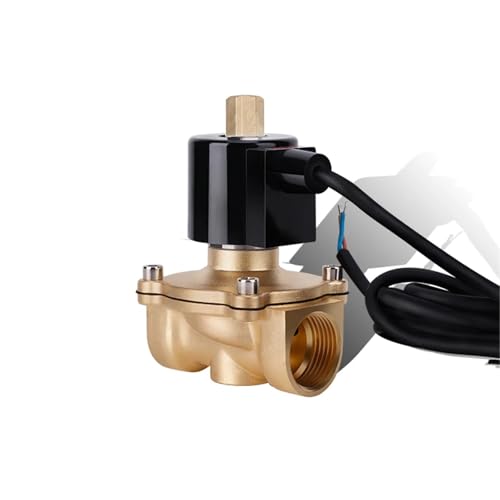 1" Normalerweise offenes Unterwasserbrunnen-Magnetventil Messing IP68 Wasserdicht DN25 Elektrisches Steuerwasserventil AC/DC 12V 24V 220V(NBR-SEAL_24VDC_NO) von TKADXPJE