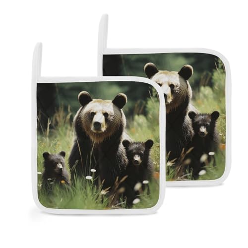 Mama Bear Topflappen, hitzebeständige Topflappen, dicke heiße Pads mit Schlaufe, rutschfest, für Küche, Kochen, Backen, Grill, 20,3 x 20,3 cm, 2 Stück Mama Bear Topflappen, hitzebeständige Topflappen, dicke heiße Pads mit Schlaufe, rutschfest, für Küche, Kochen, Backen, Grill, 20,3 x 20,3 cm, 2 Stück von TKJMCSW