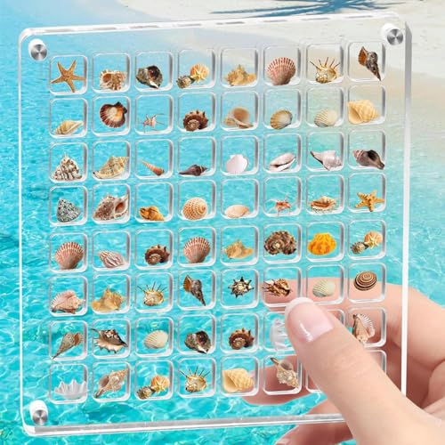 TKODNYD Acrylic Magnetic Seashell Display Box, 64 Grids Muschel Aufbewahrungsbox, Magnetische Muschel Ausstellungsbox, Klare Diamant Edelstein Muschel Seestern Schmuck Organizer Box, Muscheln nicht von TKODNYD