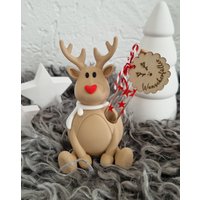 Wunscherfüller Rudi Rentier Weihnachtsgeschenk , Advent Geldgeschenkweihnachten, Elch von TKWelt