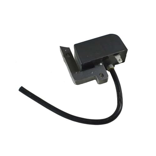 Zubehör A411000020 A411000021 Zündspule for Echo ES-2000 ES-2100 ES-211 ES-2400 PB-1000 PB-1010 PB-201 PB-2100 PB-2455 PB-2155 Zubehör A411000020 A411000021 Zündspule for Echo ES-2000 ES-2100 ES-211 ES-2400 PB-1000 PB-1010 PB-201 PB-2100 PB-2455 PB-2155 von TKYTFRGF