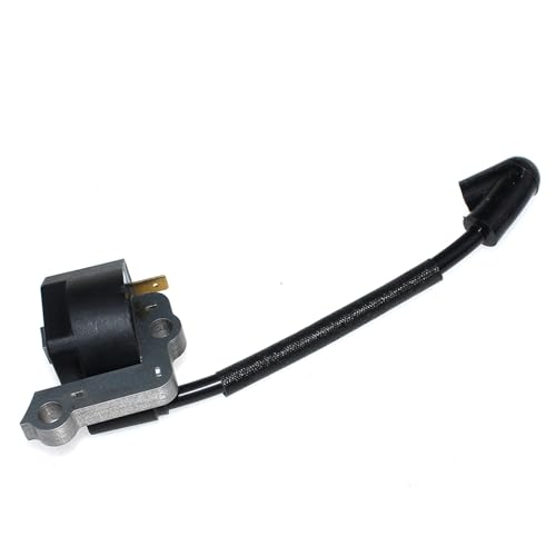 Zubehör Zündspule for EFCO 8750 8753 DS5300 DS5500 for Oleo-Mac BC530 BC550 for Master BCF530 4196142r 61110153ar von TKYTFRGF