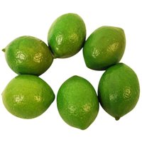 6 x Realistisch Lebensechte Künstliche Kunststoff Limette Zitrone Obst Essen Gefälschte Home Decor 6 x Realistisch Lebensechte Künstliche Kunststoff Limette Zitrone Obst Essen Gefälschte Home Decor von TLILY