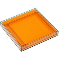 Nordische Moderne Wohnkultur Acryl Servier Tablett Klar Platz Vase Schmuck Wasser Becher SchlüSsel Lagerung Dekoration Orange von TLILY