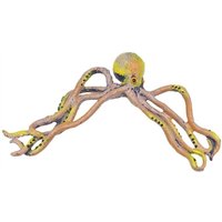 Tlily - Fotorahmen Oktopus Harz Skulpturen, Oktopus Bilderrahmen Dekoration, Oktopus Tür Ecke Dekoration Wand Tlily - Fotorahmen Oktopus Harz Skulpturen, Oktopus Bilderrahmen Dekoration, Oktopus Tür Ecke Dekoration Wand von TLILY