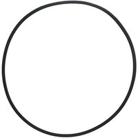 Klemm-O-Ring für ccp 520/420 Pool- und Spa-Filtertanks von TLILY