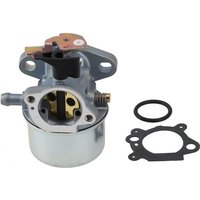 Rasenmäher-Motorvergaser für Quantum 675 Serie 498965 494216 von TLILY