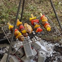 Titanium Mini bbq Grill Holzkohlegrill von TLILY