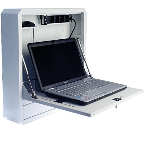 Techly Professional 109047 Sicherheitsbox für Notebook und Zubehör für LIM Prof. 150 Weiß Weiß von Techly