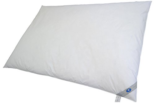 TM Maxx BALLONBETT OBERBETT OBERDECKE DECKE135x200;155x220;200x200:200x220cm (135x200cm, 4000g) von TM Maxx