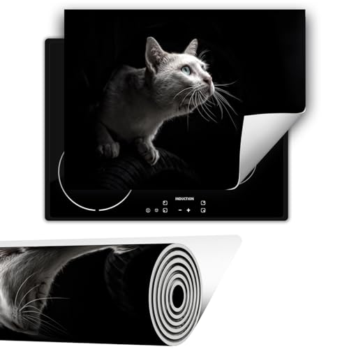 TMK ArtDeko Herdabdeckplatte 1 teilig 80x52 cm Küche Herdabdeckung Ceranfeld Herdabdeckplatten Anti Rutsch Matte Aufrollbar, Schwarz Katze von TMK ArtDeko