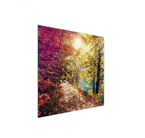 TMK ArtDeko Herdabdeckplatte 50x52 Einteilig Glas Induktion Herdschutz Spritzschutz Glasplatte Deko Schneidebrett, Landschaft von TMK ArtDeko