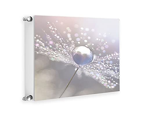 TMK ArtDeko Magnetische Heizkörperverkleidung Modernes Design Einfache Montage 60x60 Magnet Heizkörperabdeckung, Blume von TMK ArtDeko