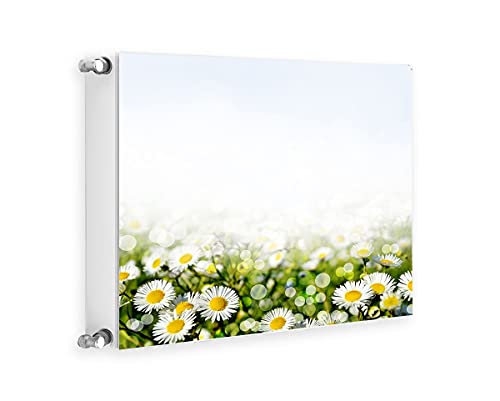 TMK ArtDeko Magnetische Heizkörperverkleidung Modernes Design Einfache Montage 60x60 Magnet Heizkörperabdeckung, Blumen Himmel von TMK ArtDeko