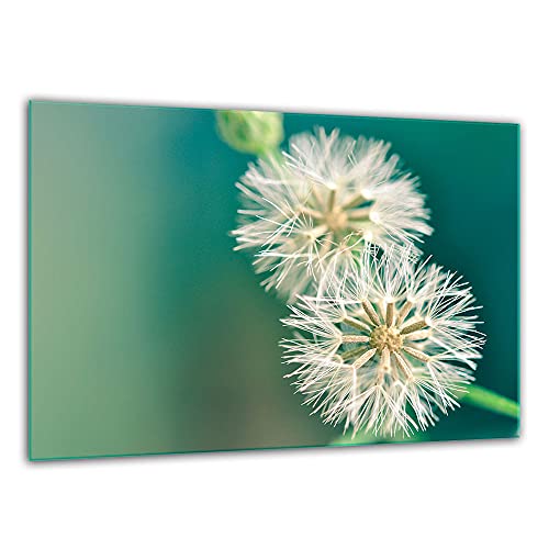 TMK ArtDeko – Schneidebrett Glas – Glasschneidebrett für die Küche 30x22 cm – Robust, Hygienisch & Rutschfest – Glas Schneidebrett – Zusätzliche Arbeitsfläche – Vielseitige Nutzung TMK ArtDeko – Schneidebrett Glas – Glasschneidebrett für die Küche 30x22 cm – Robust, Hygienisch & Rutschfest – Glas Schneidebrett – Zusätzliche Arbeitsfläche – Vielseitige Nutzung von TMK ArtDeko