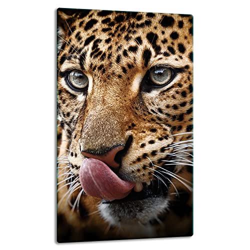 TMK | Herdabdeckplatte 30x52 Einteilig Glas Elektroherd Induktion Herdschutz Spritzschutz Glasplatte Deko Schneidebrett Katze TMK | Herdabdeckplatte 30x52 Einteilig Glas Elektroherd Induktion Herdschutz Spritzschutz Glasplatte Deko Schneidebrett Katze von TMK ArtDeko