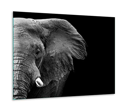 TMK | Herdabdeckplatte 60x52 Einteilig Glas Elektroherd Induktion Herdschutz Spritzschutz Glasplatte Deko Schneidebrett Elefant von TMK ArtDeko