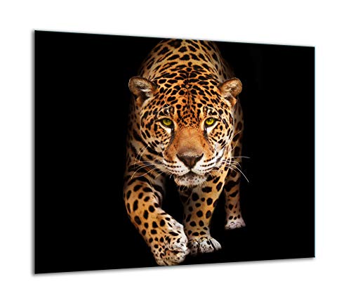 TMK | Herdabdeckplatte 60x52 Einteilig Glas Elektroherd Induktion Herdschutz Spritzschutz Glasplatte Deko Schneidebrett Schwarz Katze von TMK ArtDeko