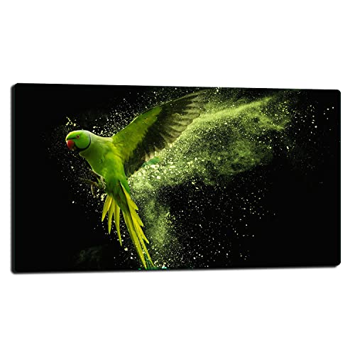 TMK | Herdabdeckplatte 80x52 Einteilig Glas Elektroherd Induktion Herdschutz Spritzschutz Glasplatte Deko Schneidebrett Papagei TMK | Herdabdeckplatte 80x52 Einteilig Glas Elektroherd Induktion Herdschutz Spritzschutz Glasplatte Deko Schneidebrett Papagei von TMK ArtDeko