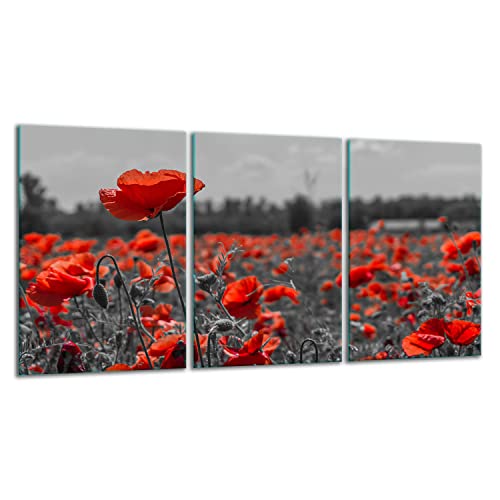 TMK | Herdabdeckplatten ceranfeld 3 Teilig 30x52 cm | Ceranfeldabdeckung Küche Elektroherd Induktion | Herdschutz Spritzschutz | Glasplatte Schneidebrett | Rot Blumen von TMK ArtDeko