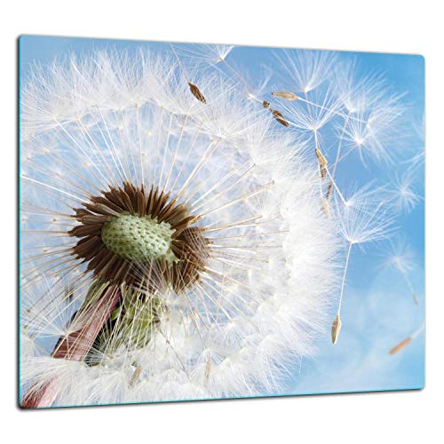 TMK | Küchenrückwand Spritzschutz aus gehärtetem Glas 65x60 cm - Dekoglas mit selbstklebendem Klebeband - Glasrückwand Küche, Blume von TMK ArtDeko
