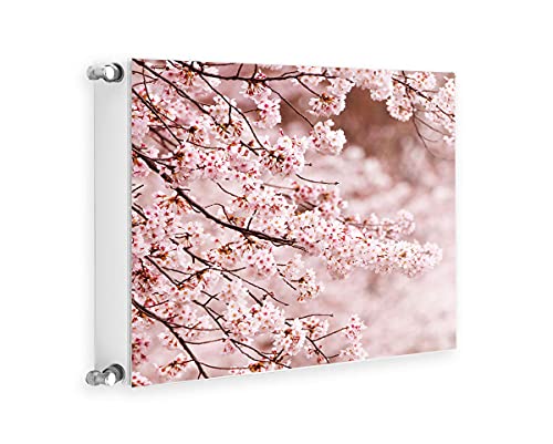 TMK Magnet Heizkörperabdeckung, Heizkörperverkleidung 60x60 cm, Blumen TMK Magnet Heizkörperabdeckung, Heizkörperverkleidung 60x60 cm, Blumen von TMK ArtDeko