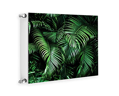 TMK ArtDeko Heizkörperabdeckung Magnetisch Dekorativer Sichtschutz Energiesparend 60x60 Magnet Heizkörperabdeckung, Heizkörperverkleidung, Laub von TMK ArtDeko