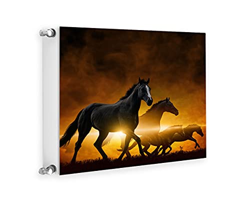 TMK ArtDeko Heizkörperverkleidung mit Magnet Stilvolle Optik 60x60 Heizkörperabdeckung, Pferde Sonne von TMK ArtDeko