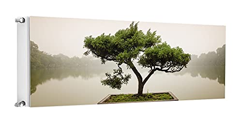 TMK ArtDeko Magnetische Heizkörperverkleidung Modernes Design Einfache Montage 160x60 Magnet Heizkörperabdeckung, Baum Grau TMK ArtDeko Magnetische Heizkörperverkleidung Modernes Design Einfache Montage 160x60 Magnet Heizkörperabdeckung, Baum Grau von TMK ArtDeko