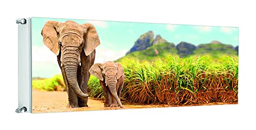 TMK Magnet Heizkörperabdeckung, Heizkörperverkleidung 160x60 cm, Elefant von TMK ArtDeko