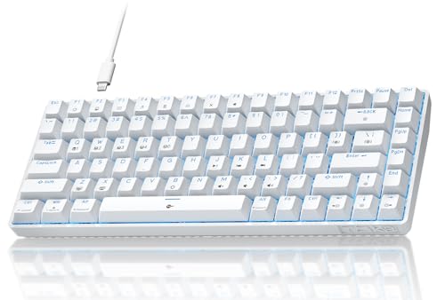 TMKB T84SE Gaming Tastatur, QWERTY US Layout, 84 Tasten Mechanische Tastatur mit Blaue LED, N-Key Rollover Blue Switch Keyboard für PC Windows/Mac OS, Weiß von TMKB Technology Mechanical KeyBoard