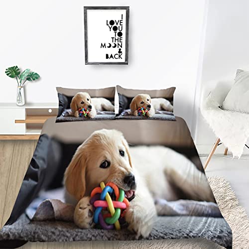 TMMDH Bettwäsche 155x220 Golden Retriever Welpe Muster Bettwäsche Set Bequem Atmungsaktiv Hypoallergen bettbezug + 2 Kissenbezug 80x80 cm,Bettwäsche Sets für Einzelbett Jungen Mädchen Kinder von TMMDH