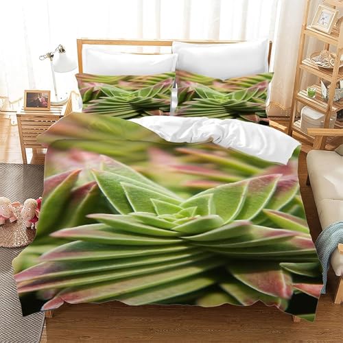 Sukkulente Bettwäsche 3 Teilig Pflanzen Bettbezug Set Enthält 1 Bettbezug 155x220 cm und 2 Kissenbezügen 80x80 cm aus Leicht Weich Mikrofaser von TMMDH