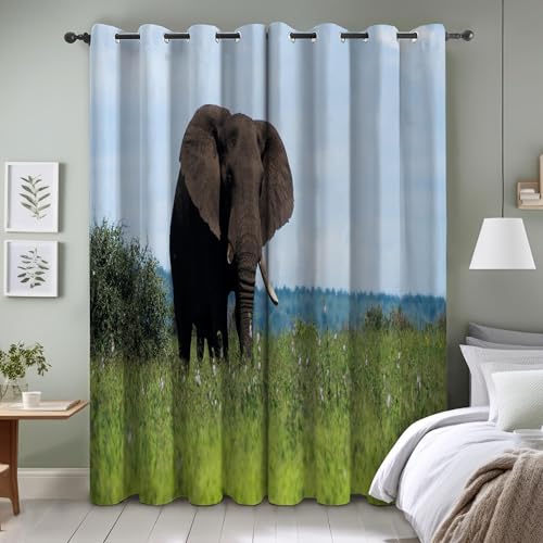 TMMDH Elefant Blickdichte Gardinen Schlafzimmer Thermovorhang mit öSen 2er Set H 245 X B 140 cm Wildtiere VerdunklungsvorhäNge Schallschutz Vorhang von TMMDH